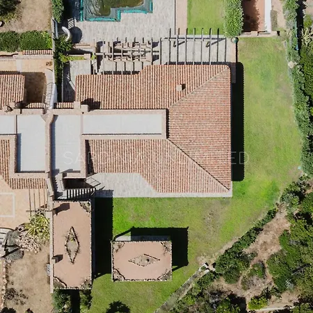 Queen Solaris * Portobello