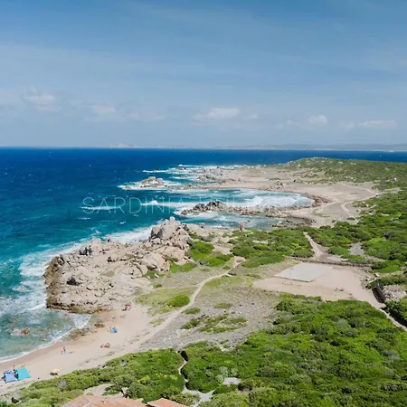 Queen Solaris Willa *