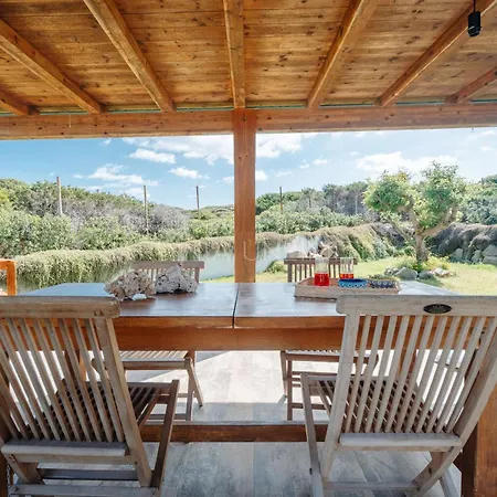 Queen Solaris Willa *